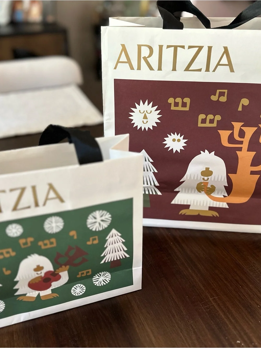 Aritzia Holiday Graphic Gift Bags in Cream, Forest Green & Burgundy